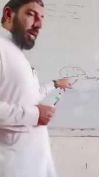 energy transfer in ecosystem