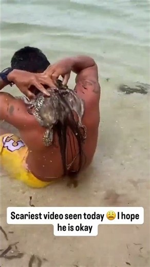 Giant Octopus ATTACK Leaves Everyone in Shock 😱🐙 #Octopus #Wildlife #Scary
