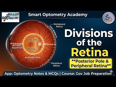 Part-2: Retina Gross Anatomy- Division of Retina | Optometry Exams | AIIMS RRB DSSSB HAAD DHA MOH