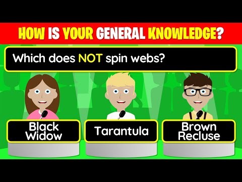 👉 40 Trivia Quiz Questions - How is YOUR general knowledge?! | 25-181