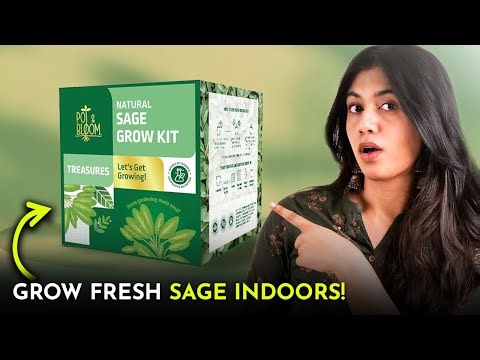 Unboxing the Easiest Sage Grow Kit for Beginners!