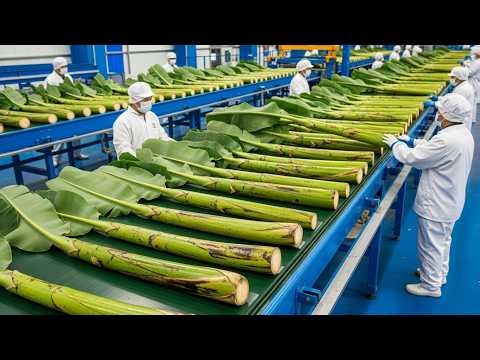 Factory Manufacturing & Recycling Process
