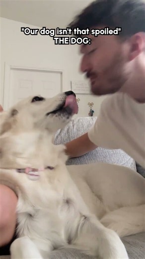 Sweet Dog Loves Getting Kisses