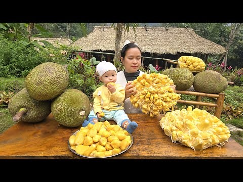 4 Delicious Dishes from Jackfruit | Steamed Cake, Fried Cake, Roasted Seeds & Sticky Rice