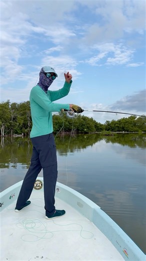 Fin Chasers Tarpon Fly Fishing Isla Blanca! #fishing #flyfishing #tarponfishing