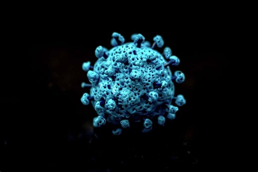 New COVID 'cicada' variant detected in Texas. What to know.