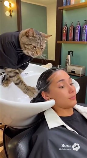 Cat washes girls hair and gets mad and slaps her #foryoupage