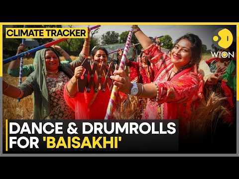 Amritsar Fields Turn Golden as Seasons Shift | WION Climate Tracker