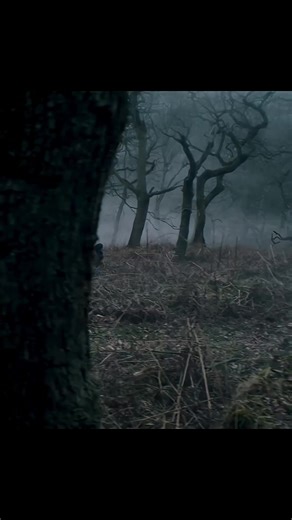 You Won’t Believe What Happens Next 😱 Pure Hollywood Magic A Scene You Can’t Forget Hollywood at Peak Level 💥#hollywood #movies #movieclips #films #cinema #cinematic #filmclip #movieedit #scenes #bestscene #epicscene #movielovers #filmbuff #moviecommunity #entertainment #reels #reelsvideo #shorts #shortvideo #viral #viralvideo #viralvideos #trending #trendingnow #fyp #foryou #foryoupage #explore #explorepage #tiktoktrend #tiktokmovies #tiktokreels #usa #unitedstates #america #uk #england #lond