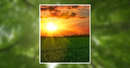 Robert Williams Obituary April 25, 2026 - West Central Texas Cremation and Funeral Home