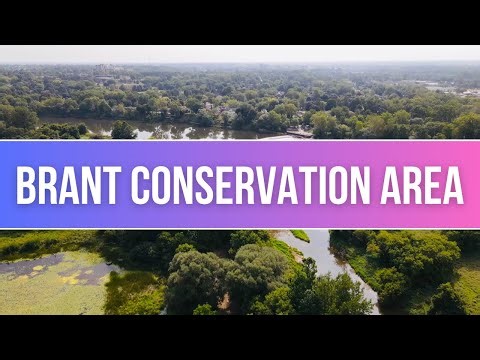 Brant Conservation Area Camping Overview | Ontario, Canada