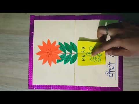 #Science #tlm #diy #craft #project #inspire #award #trending #viral #funny #education #bagless day