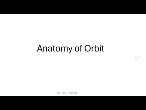 Anatomy of Orbit (Tamil) | Optometry desk |