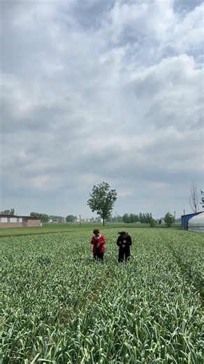 Challenge Your Vision! Current Affairs Quiz for Everyone