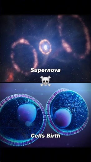 Are we inside an Alien Body? ☠️😱 #space #astronomy #universe #earth #alien