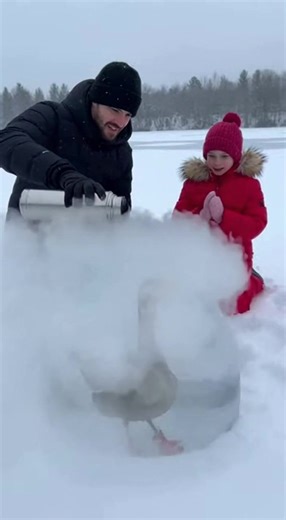 They Tried to Rescue a Frozen Goose... WAIT FOR IT! (AI) | Crafty Panda