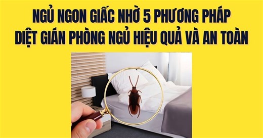 Get a good night's sleep thanks to 5 effective and safe bedroom cockroach killing methods