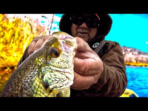 Simple Worm Fishing! How To Catch Loads Of Fish For Dinner Easy With A Simple Rig!