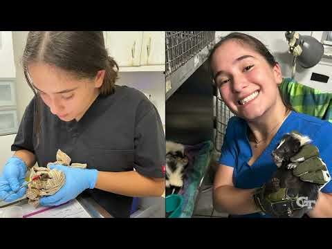 More Than a Scholarship: The Tech Promise Student Experience