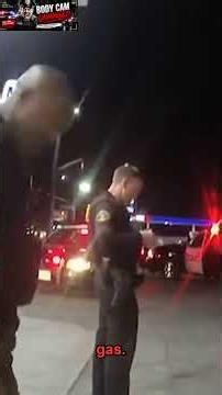 Policy Brutality That Cost A City Millions