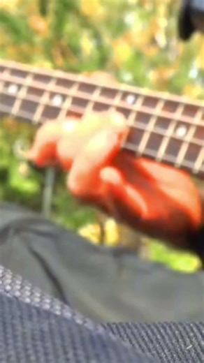 Classical Music Reinterpreted on Bass Guitar – Original Composition Performance