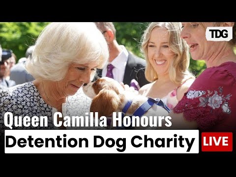 LIVE: Queen Camilla Hosts Reception Honouring Medical Detection Dogs Charity Supporters