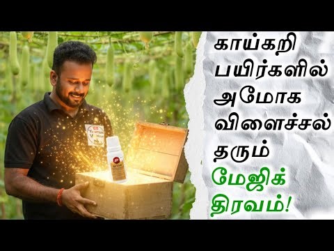 காய்கறி பயிர்களில் அமோக விளைச்சல் தரும் மேஜிக் திரவம்! QUIKON - Product Review
