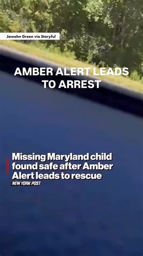 Head of Security on Instagram: "Awesome situational awareness from these people! Amber Alerts really do save lives. An alert isn’t just a notification. It’s a system built to save live. The AMBER Alert was created in 1996 after the abduction and murder of 9-year-old Amber Hagerman. It mobilizes the public in real time to help locate abducted children. The Silver Alert helps locate missing seniors and individuals with cognitive impairments like Alzheimer’s or dementia. Blue Alerts, Endangered Mis