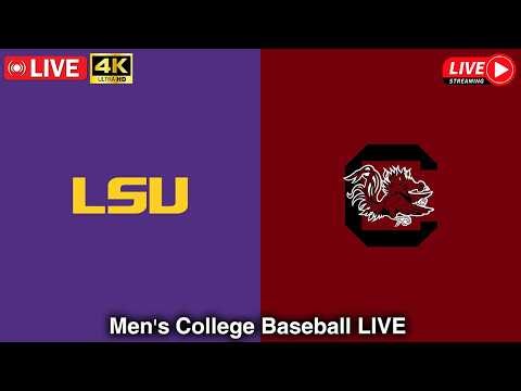 LSU vs South Carolina LIVE 4K | College Baseball LIVE | LSU LIVE