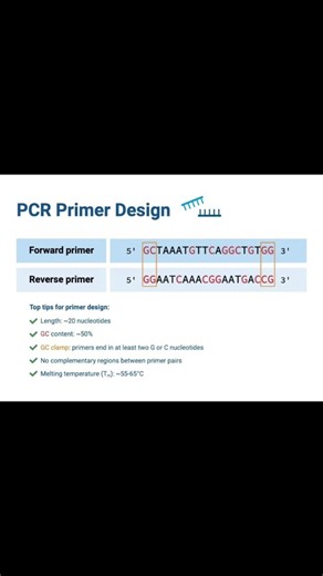 Claves del Diseño de Primers en PCR