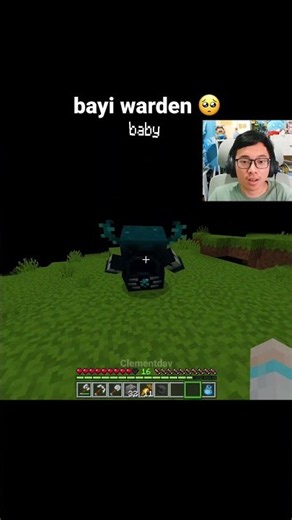 Momen Bayi Warden Minecraft