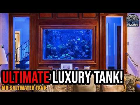 Diving Deep: The Secrets of a Massive In-Wall Acrylic Reef Tank | Mark Callahan, Mr. Saltwater Tank