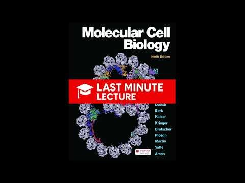 Responding to the Cellular Environment | Chapter 21 – Molecular Cell Biology (9th)