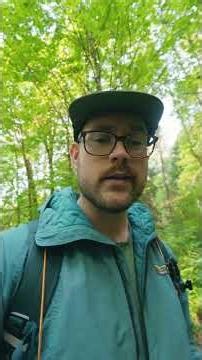 How To ID Any Fern
