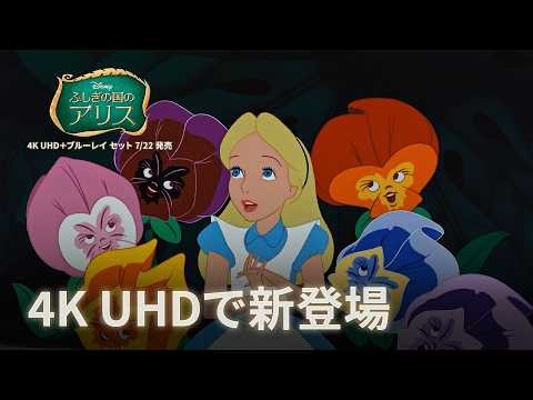 「ふしぎの国のアリス」4K UHD＋ブルーレイ セット 7/22発売