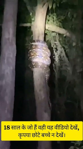 danger python ajgar