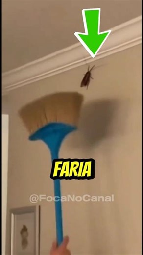 O que você faria se do nada aparecesse uma barata voadora na sua casa? 🪳😱