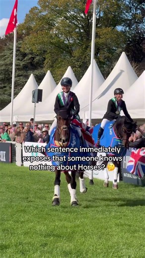 We Go First: „You just sit there and do nothing“ 🤡