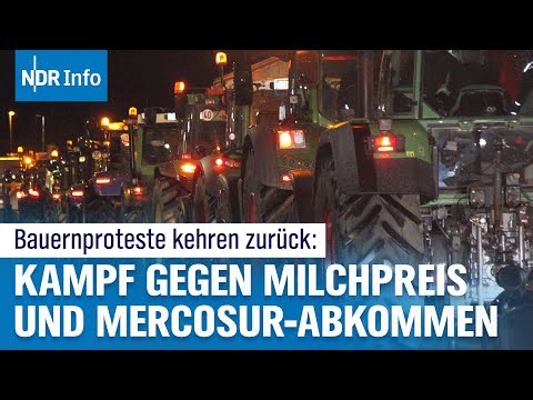 Milchbauern in Existenznot: Zwischen Preissturz und Mercosur-Protesten | NDR Info