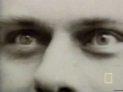 National Geographic Presents - The Executioners