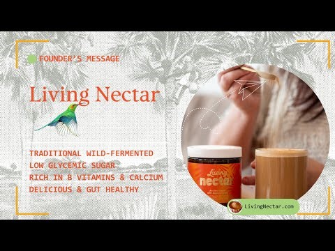 Ancient Sugar with Superpowers: The Wild-Fermented Low Glycemic Sugar With B12 (The Founder's Story)