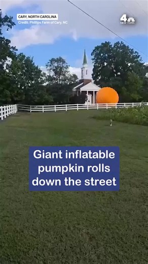 Charlie Brown has never seen a pumpkin like this. A huge inflatable pumpkin was seen blowing down a road at a North Carolina farm. #viral #funny #halloween