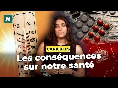 Après l’été le plus chaud de l’Histoire : quels effets sur notre santé ?