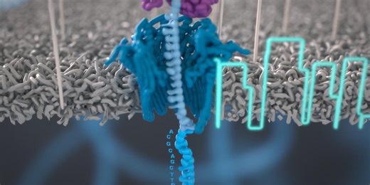 Benchmarking data: what it is, why it matters, and how to use it