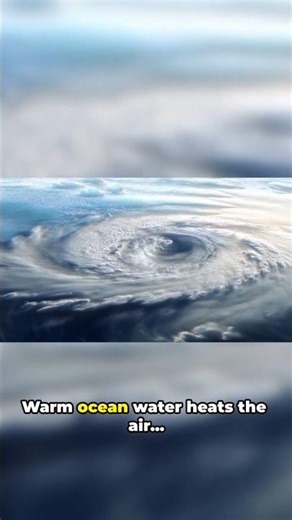 This Is How a Monster Hurricane Begins 😳🌪️