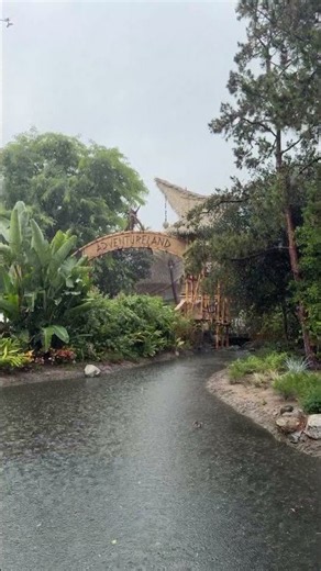 Adventure(land) in the rain at Disneyland!