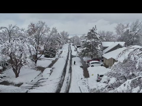 May snow could snap tree branches along the Front Range