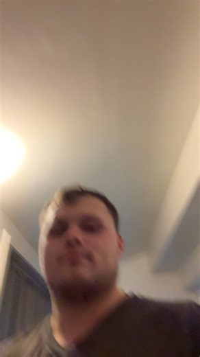 Exploring Human-Alien Hybrid Theories