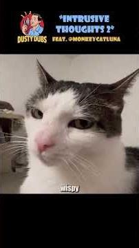 All Three "Intrusive Thoughts" Voiceovers 😼💭 featuring @CrunchycatLuna