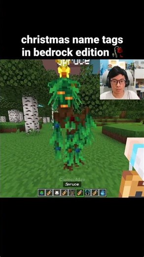 Minecraft Christmas Name Tags Moment